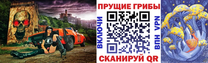 Купить закладки Волосово Галлюциногенные грибы Psilocybine cubensis